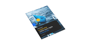Leadership within Lean-Agile Enterprise